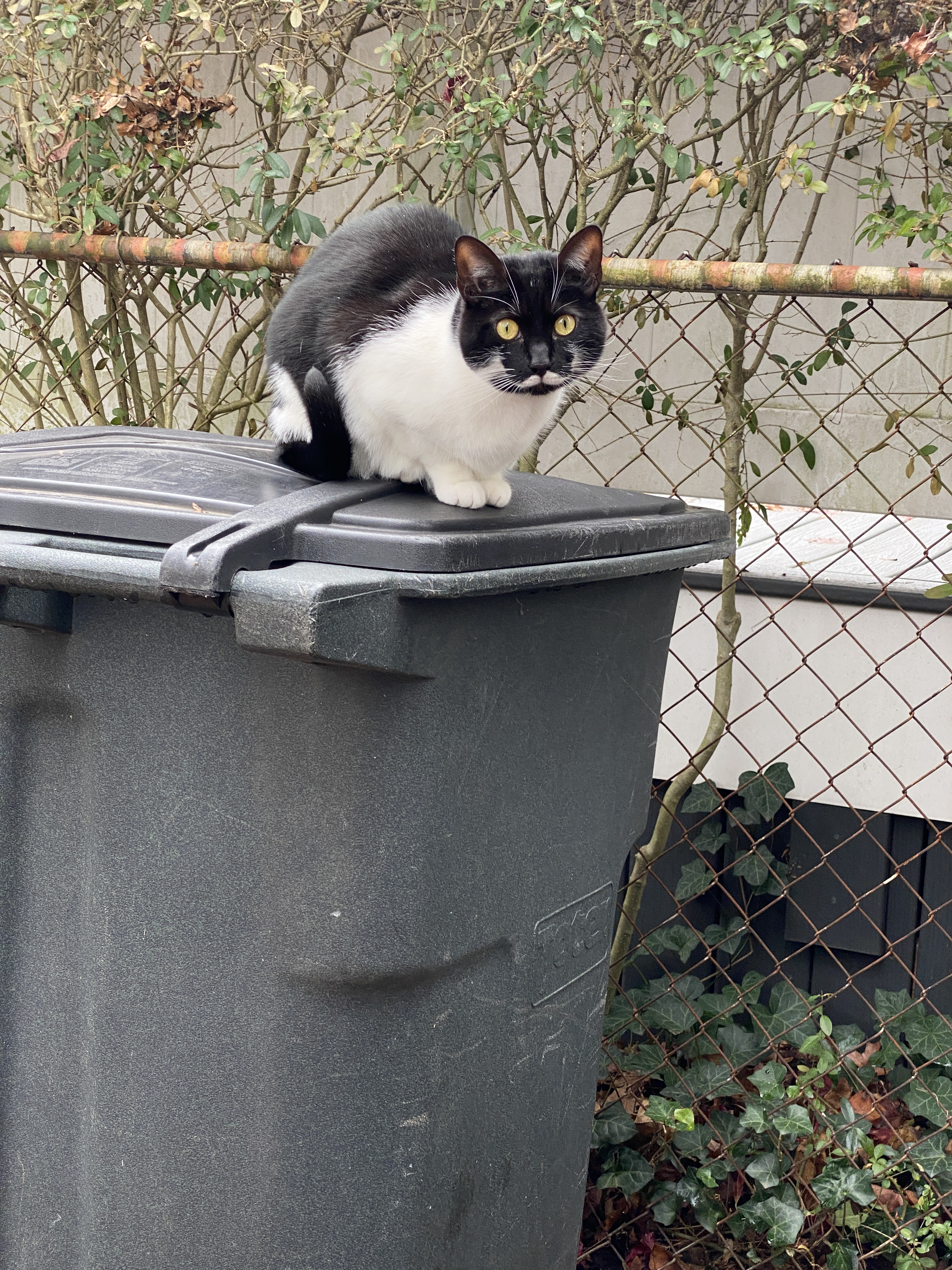 Baby on trash
